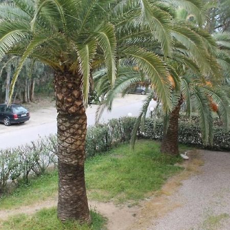 T2 Calvi Entierement Equipe A 150M De La Plage. 外观 照片