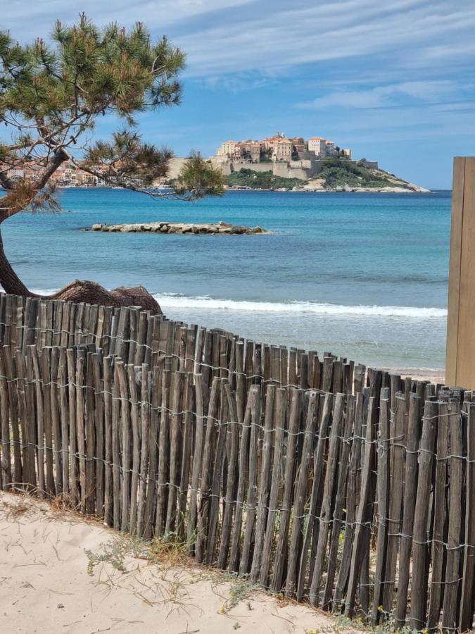 T2 Calvi Entierement Equipe A 150M De La Plage. 外观 照片